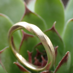 Möbiusring